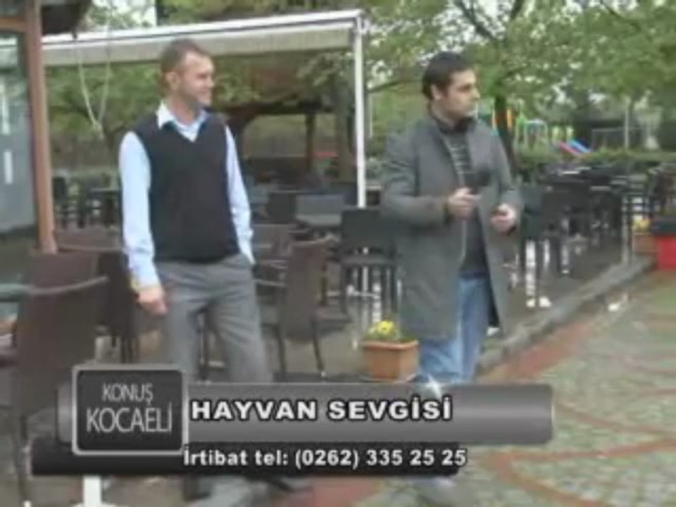 HAYVANSEVGISIKONUS,
