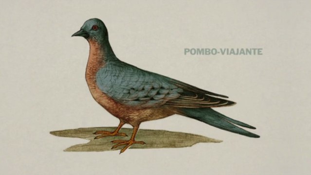A arte de ressuscitar animais extintos