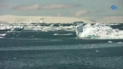 El deshielo en la Península Antártica es el más alto en el último milenio