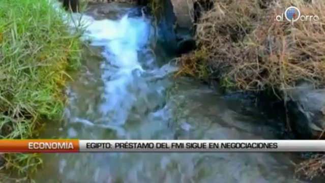 Egipto: Préstamo del FMI sigue en negociaciones