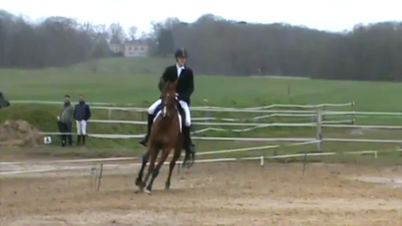 Bonneville Dressage du Gratin