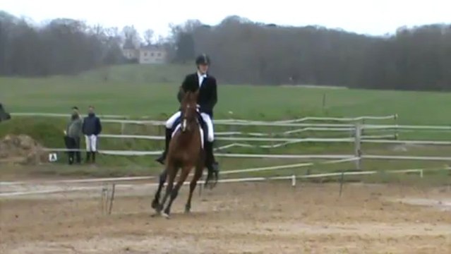 Bonneville Dressage du Gratin