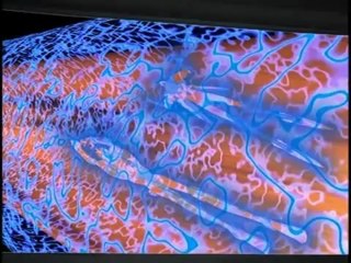 Beast Wars 2x06 - Other Visits (Part 1)