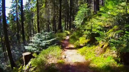 Schneeberg massif randonnée pédestre