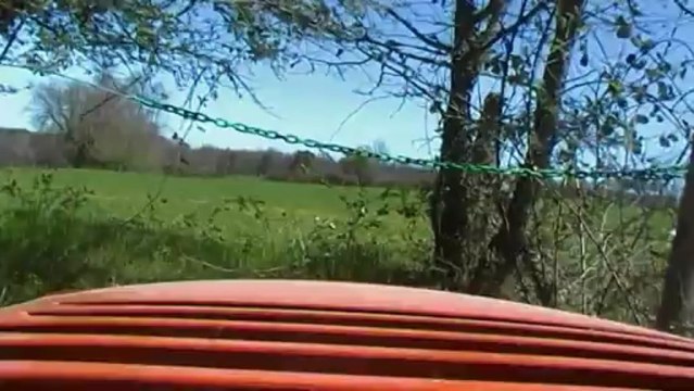 BIKER des PELOUSES II