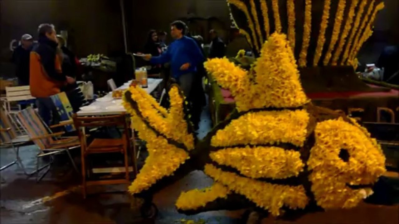 le piquetage des charts a la féte des jonquilles a gerardmer samedi 13-04-2013