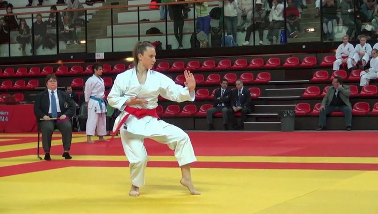 Finales individuels - Championnats de France Kata 2013