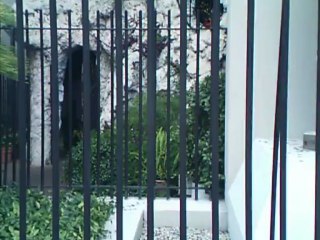 Snapshots of a Churchyard In New Orleans