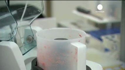 Test DNA per individuare carne di cavallo: Italia sotto...