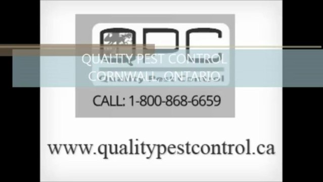 Quality Pest Control - Ottawa Bed Bugs - pest control Cornwall, ON
