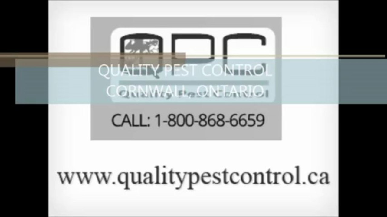 Quality Pest Control - Ottawa Bed Bugs - pest control Cornwall, ON