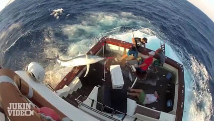 Six HUNDRED Pound Marlin Jumps on Fishing Boat