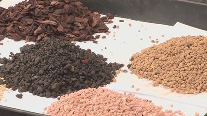 How To Get The Best Soil for Bonsai Trees