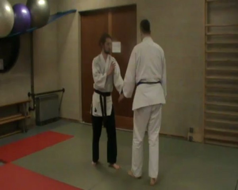 Ai hanmi katate dori  : nikyo (kihon)