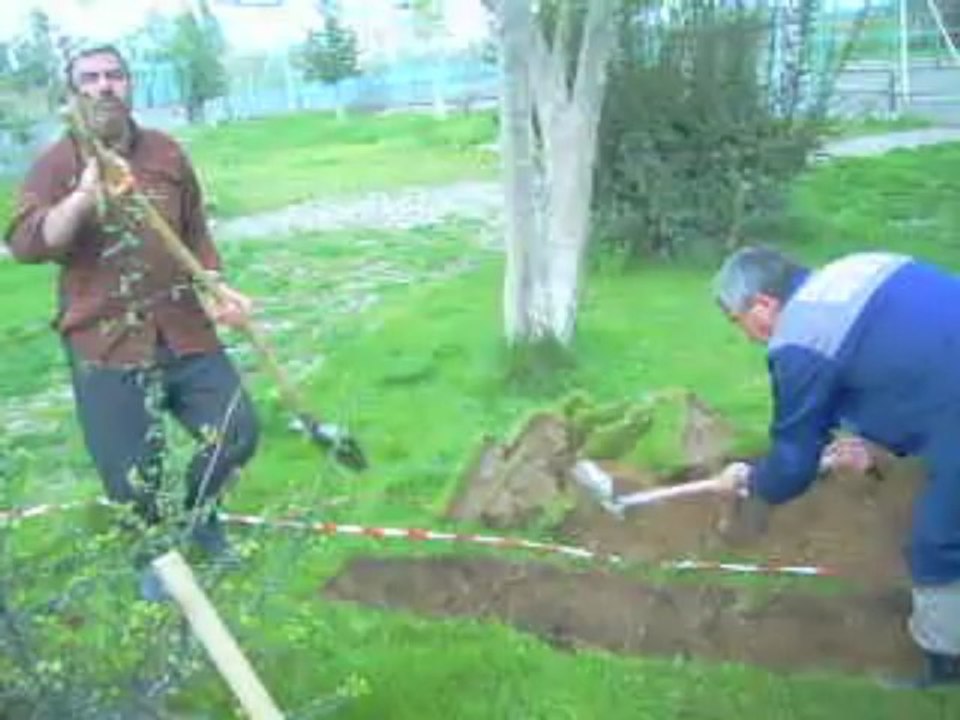 seydisehir medya (sulama projesi peyzaj çalışması)