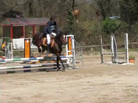 Valko de Matt - 3,5 ans - Premier concours CCE club 3 - 11ème sur 46