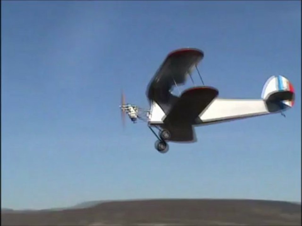 Gap : Le stampe de Jacky