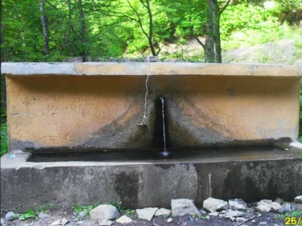 Gaye Aksu Şu Akkuşun Gürgenler Gökal kasabası