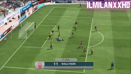 FIFA 13 | Top 5 Goals of the Week #16