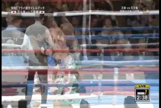 Toshiyuki Igarashi vs Akira Yaegashi 2013-04-08