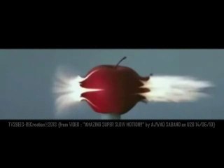 Slow(E)motion - Time flies... 2BEES too :-)