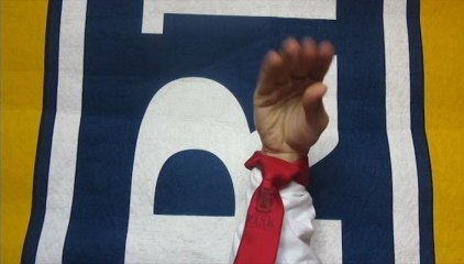 Ski Club - EMLYON - Le pire CV Vidéo 2013