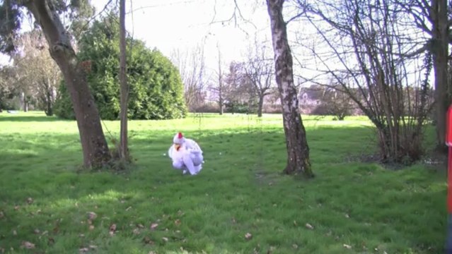 Quand les poules ont eu des dents