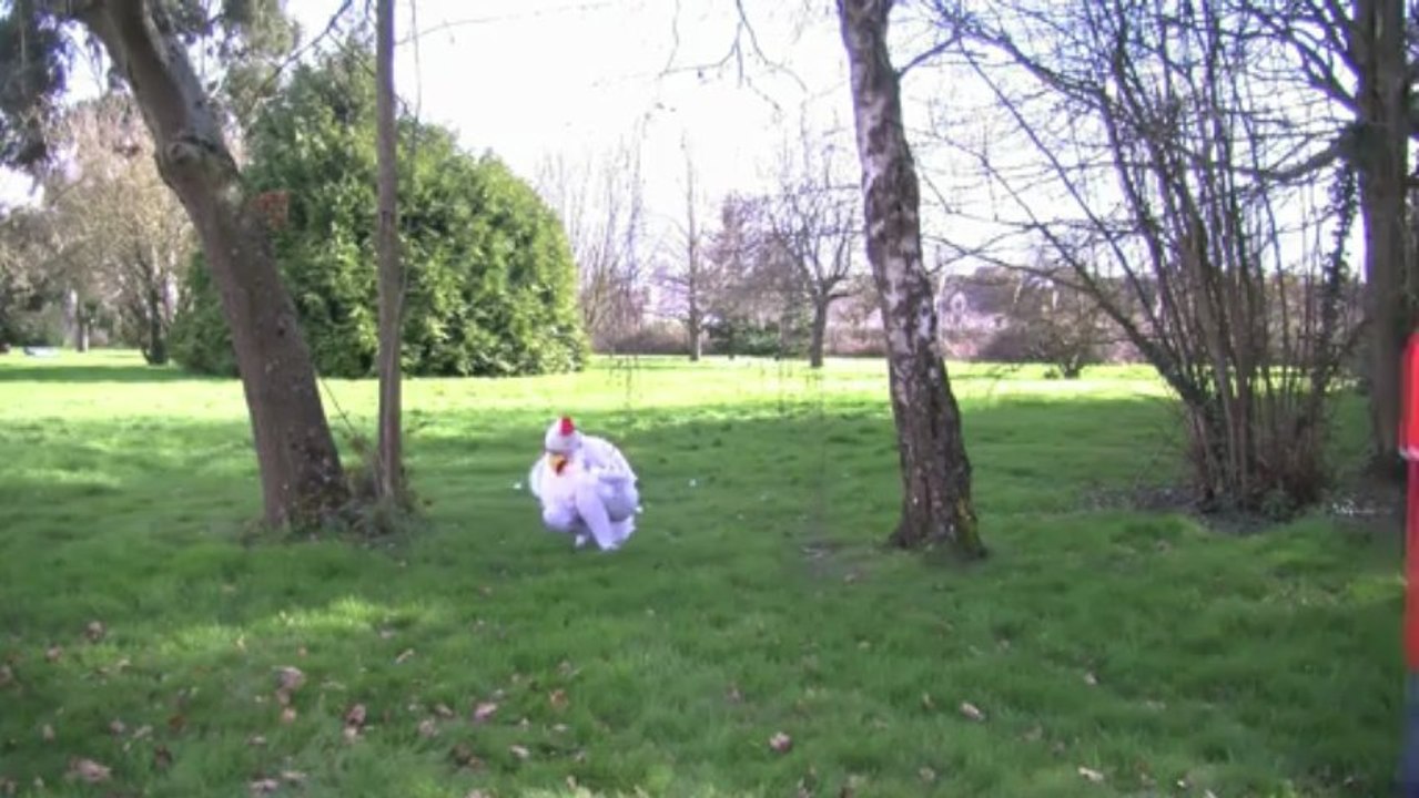 Quand les poules ont eu des dents