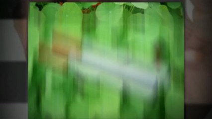 What Are These Ecigarettes?