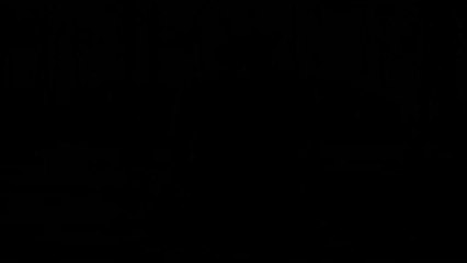 AEIIE - ENSIIE - LE PIRE CV VIDÉO 2013