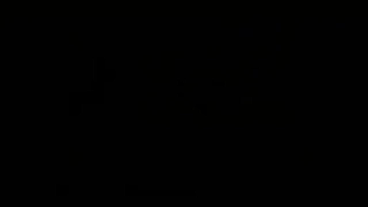 NX TELEVISION - ÉCOLE CENTALE PARIS - LE PIRE CV VIDÉO 2013