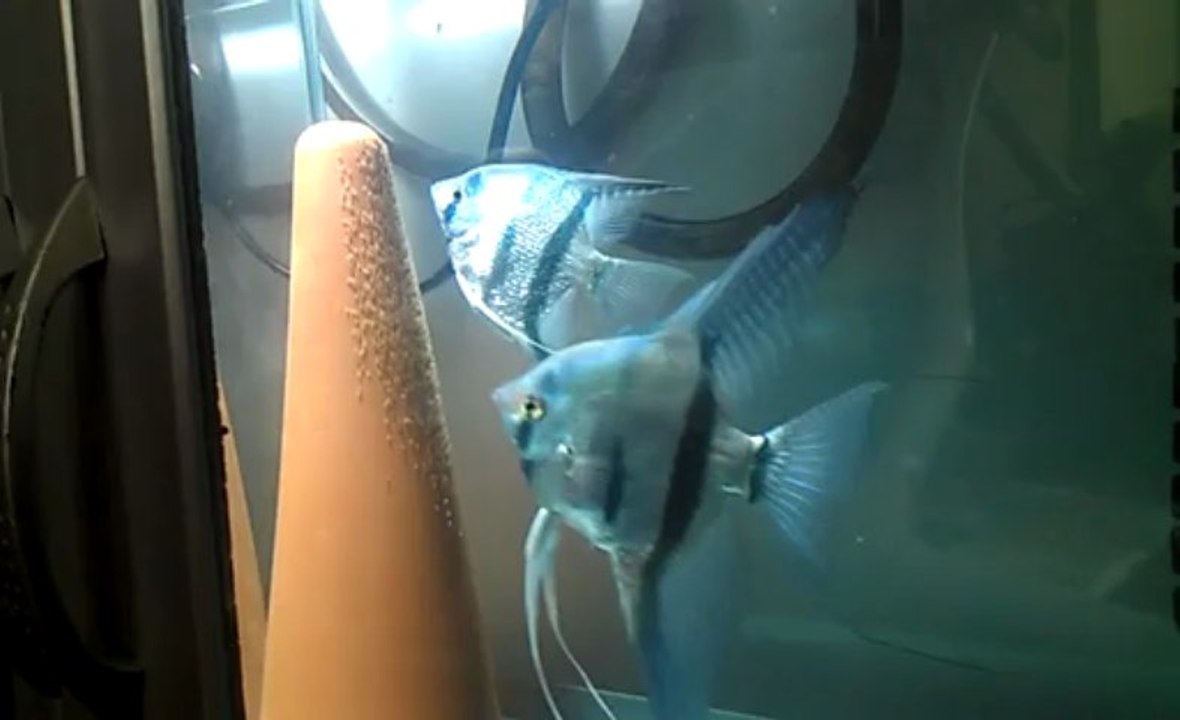 VIDEO0152