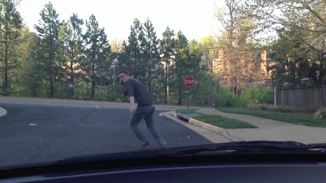 Si les humains traversaient la route comme des animaux