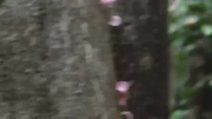 Autoroute de fourmies