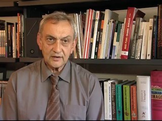 La ville gallo-romaine de Fanum Martis