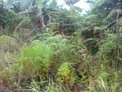 ORACIÓN CANALES WEB - VALDEMIR MOTA DE MENEZES