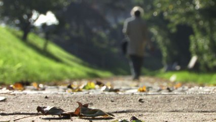 Sous les pavés la Bièvre