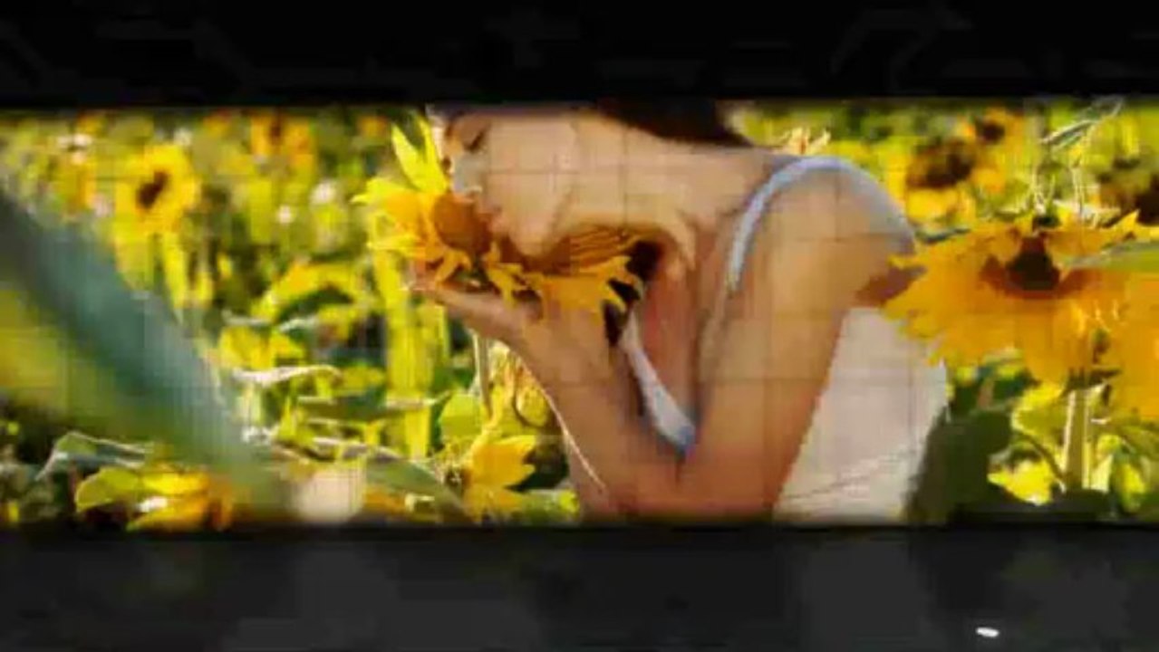 After Effects Template HD  INTRO VIDEO LOGO TRAILER    Elegant Beauty - Photo Gallery