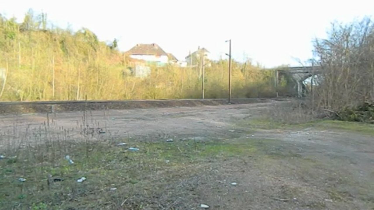 BB 22200 grise + corail Picard