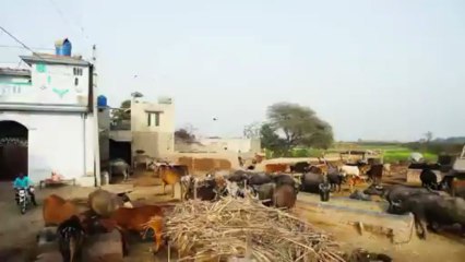 Jinnah Abadi - 110,000 free plots in Punjab