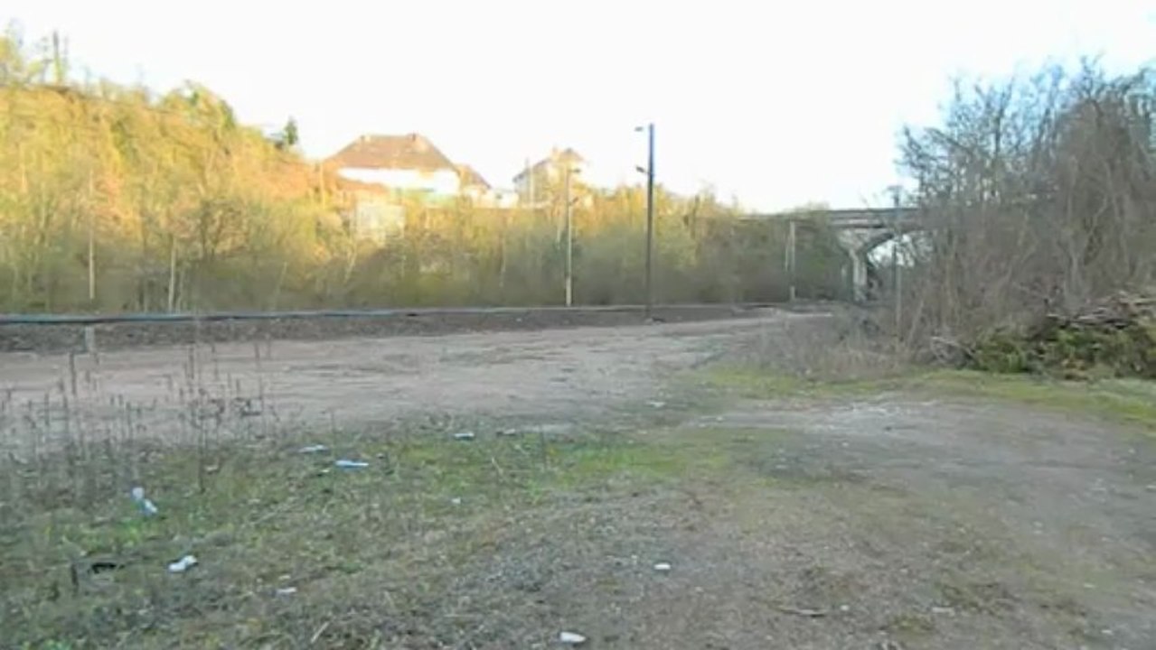 Croisement VB2N Picard + BB 15000 multiservice en pousse