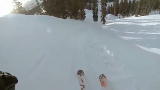 Backflip en ski à la première vue