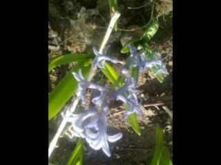 Ankaralı Namık - Alkölü Bıraktım -2012- -