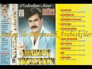 Mahmut Yüceltekin - Allahından Bul