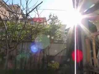 Milù Vivacissima Cucciolotta @ Sulmona