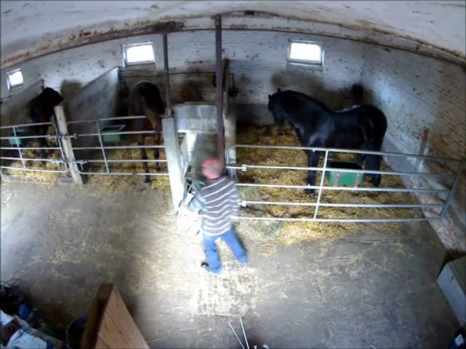 Quand je taquine Virus ....