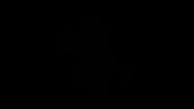 Victoria 2 : Heart Of Darkness - Lancement du jeu