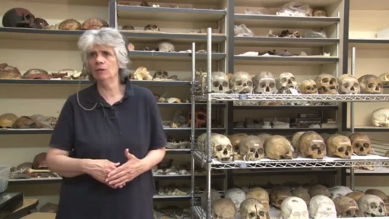 The Morton Collection of Human Skulls: Full Interview at Penn