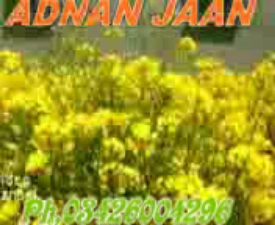 Ab Tere Dil Dil Main Aa Gaye