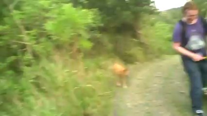 First CRASH of M13's 2013 Tours